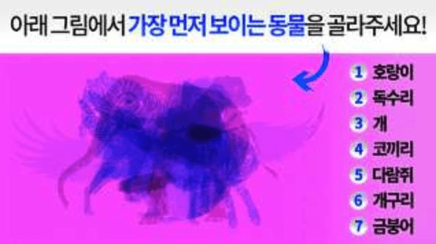 “어떤 동물이 가장 먼저 보이세요?” 그림으로 알아보는 초간단 ‘성격테스트’
