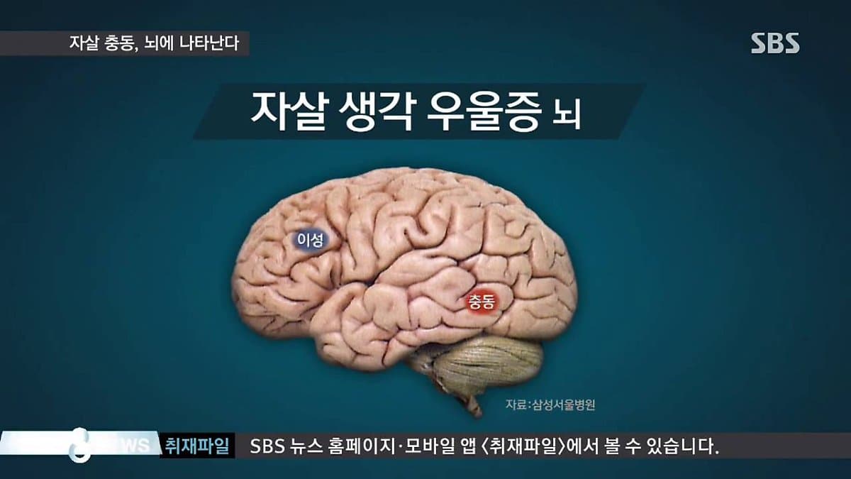 우울증 증상인가? 자가진단하기 (+테스트)