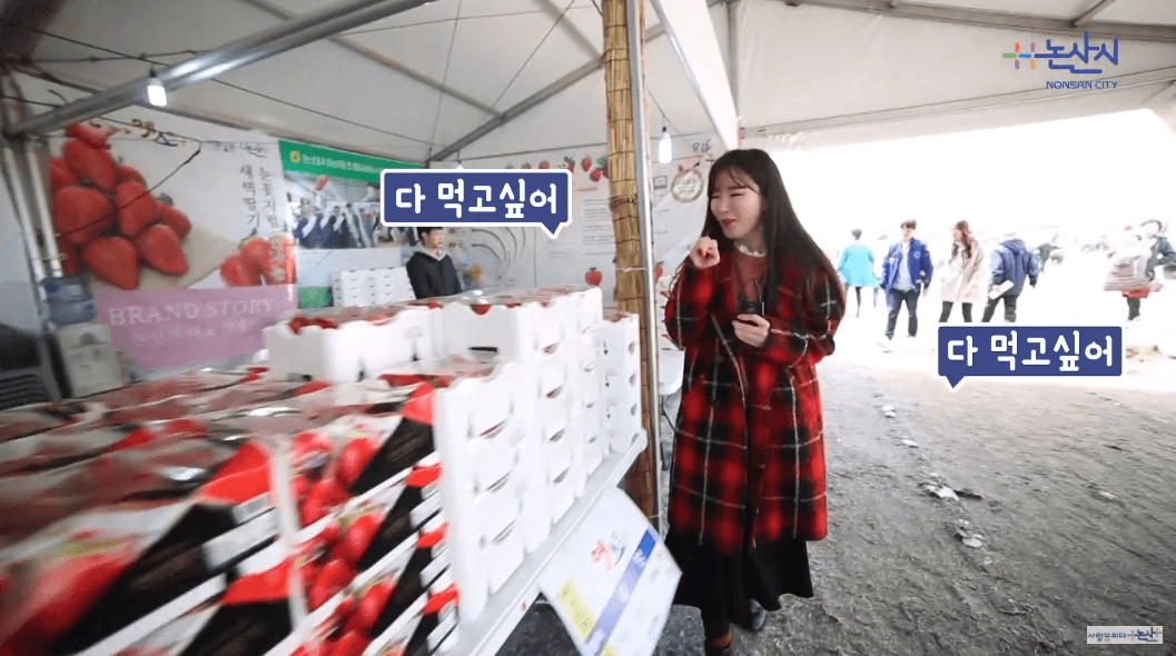 "딸기가 좋아" 딸기 즐길 수 있는 모든 곳