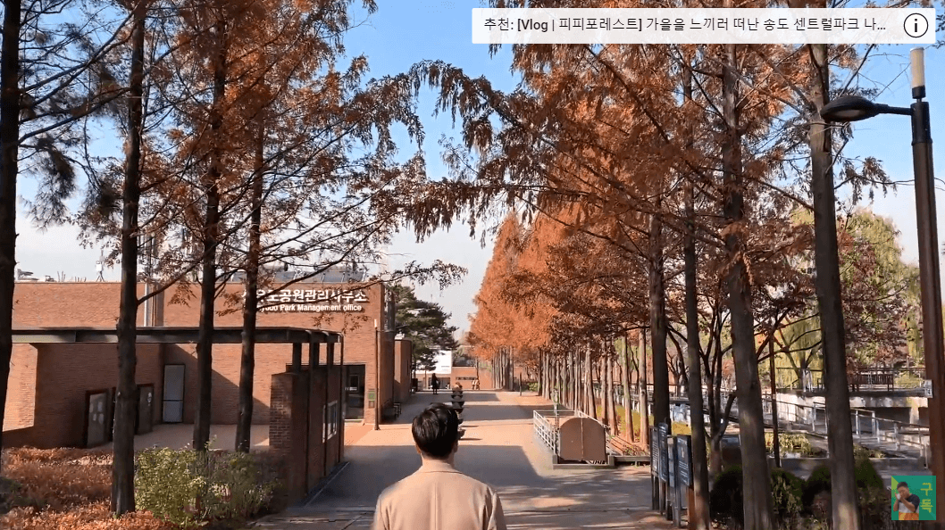 가을이 돌아온다! 선유도부터 뚝섬 유원지까지