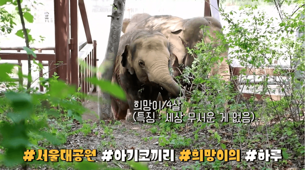 아이들과 가기 좋은 동물원 BEST6