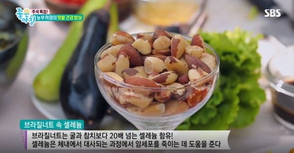 브라질너트 속