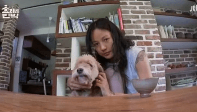 이효리 스케줄도 따라다녔던 순심이, 결국 사망