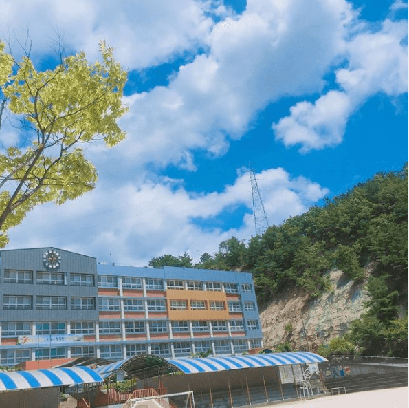 가까스로 자사고 지위 유지한 배재고+세화고 상황