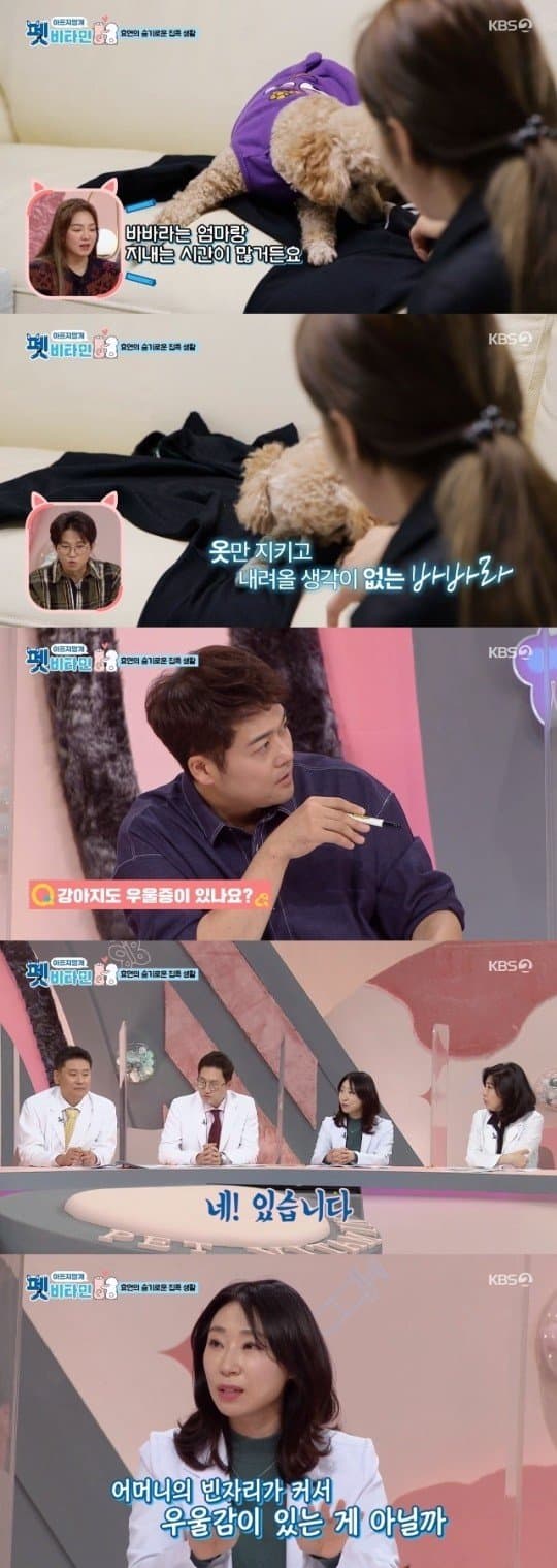 과도하게 핥는다면? 강아지 우울증 증상 5