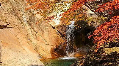 올가을 단풍 절정, 설악산 10월 20일·내장산 11월 4일