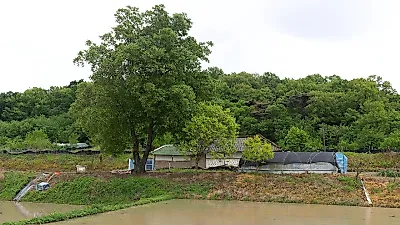 농지 전수조사 상담센터 12일 개통…위반 의심 284만 필지 중 '불법 임대' 의심이 최다